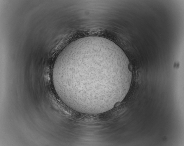 X0000115270962200911201725
