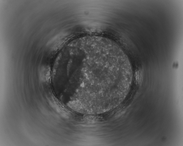 X0000115270963200911201725