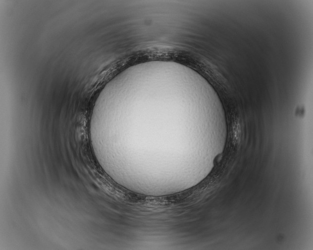 X0000115270964200911201725