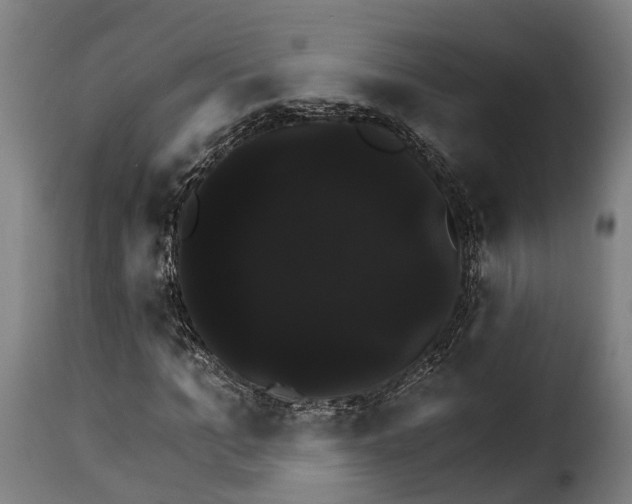 X0000115270965200911201725