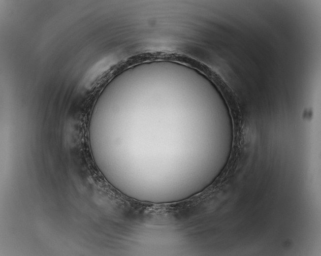 X0000115270967200911201725