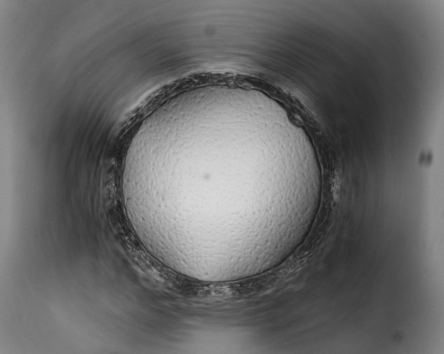 X0000115270968200911201725