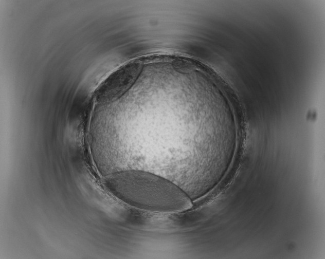 X0000115270969200911201725