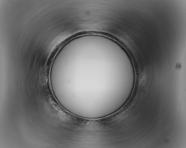 X0000115270974200911201725