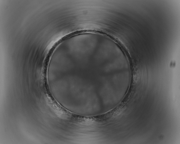 X0000115270975200911201725