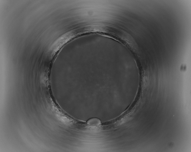 X0000115270977200911201725