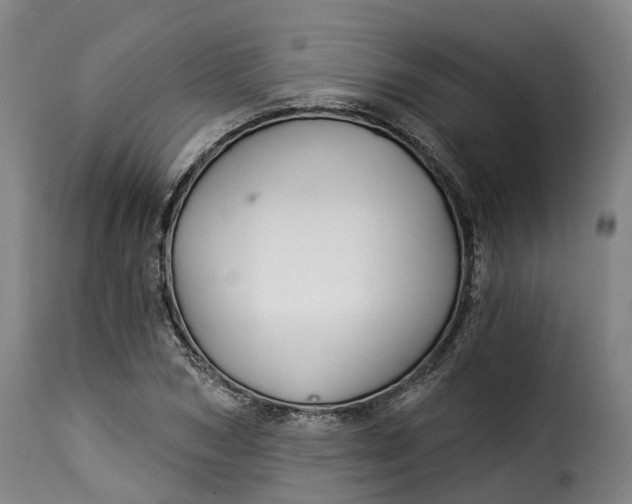 X0000115270978200911201725