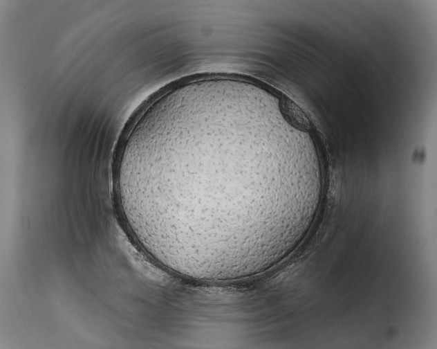 X0000115270980200911201725