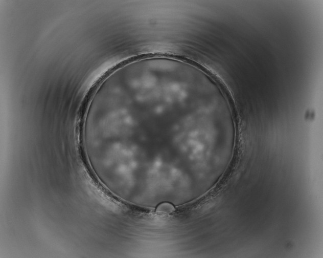 X0000115270983200911201725