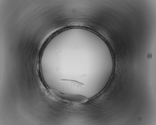 X0000115270984200911201725