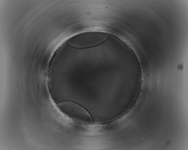 X0000115270989200911201725
