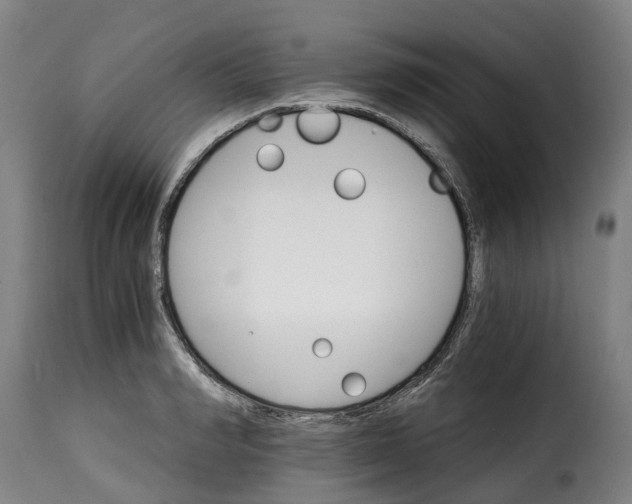 X0000115270990200911201725
