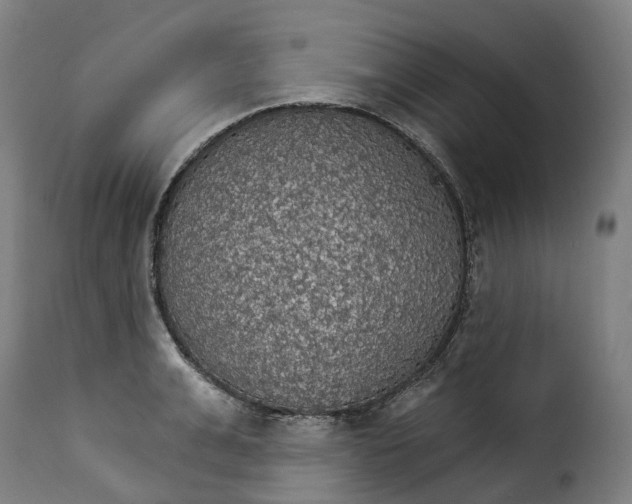 X0000115270991200911201725