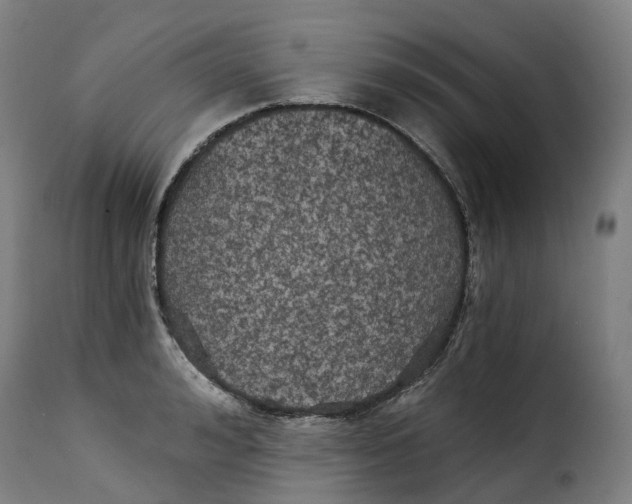 X0000115270992200911201725
