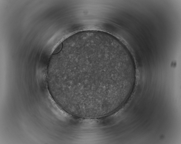 X0000115270993200911201725