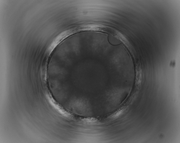 X0000115270994200911201724