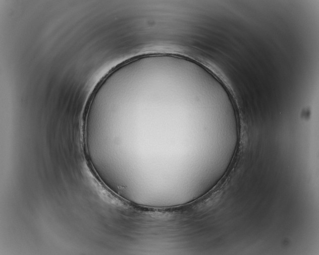 X0000115270996200911201724