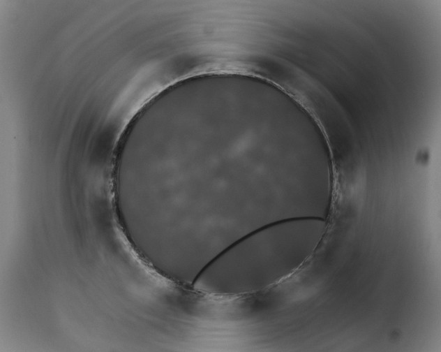 X0000115270997200911201724