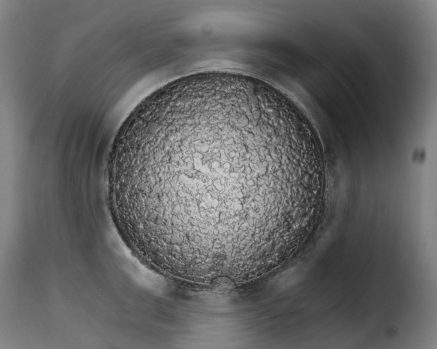 X0000115270999200911201724