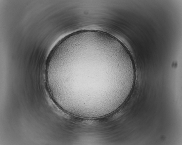 X0000115271000200911201724