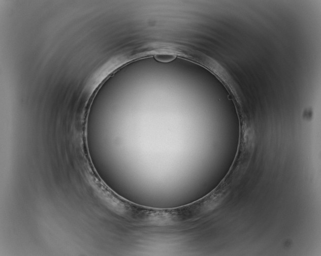 X0000115271002200911201724