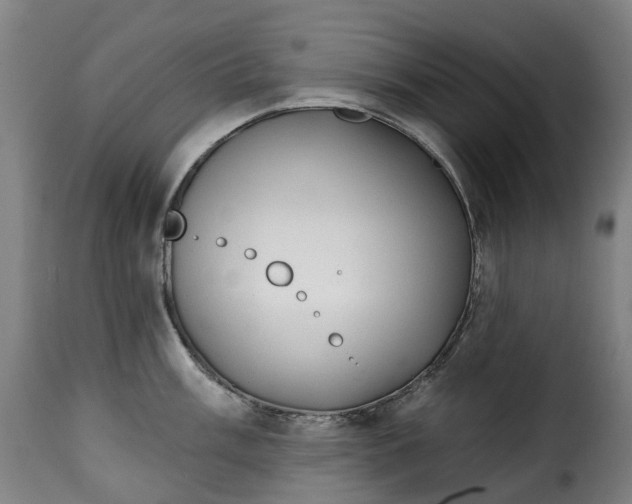 X0000115271003200911201724