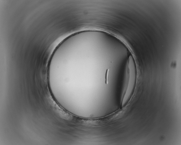 X0000115271004200911201724