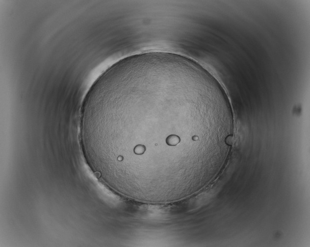 X0000115271005200911201724