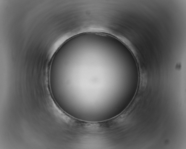 X0000115271006200911201724