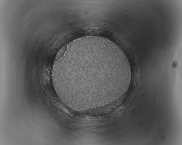 X0000115271010200911201723