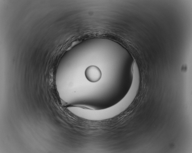 X0000115271011200911201723