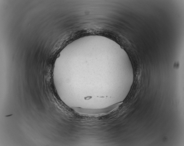X0000115271012200911201724