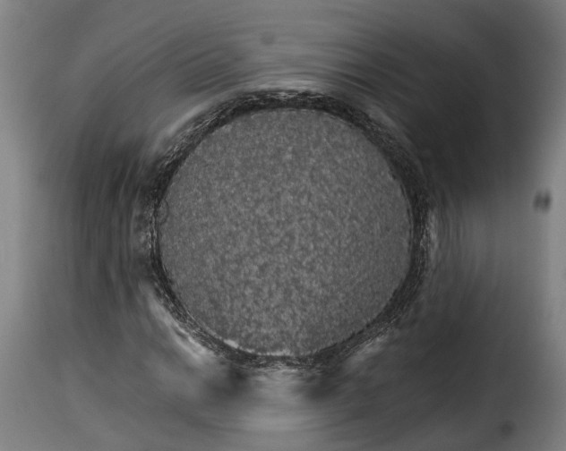 X0000115271014200911201724