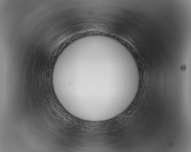 X0000115271015200911201724