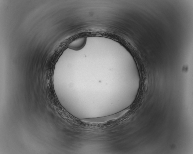 X0000115271016200911201724