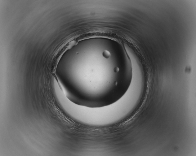 X0000115271017200911201724