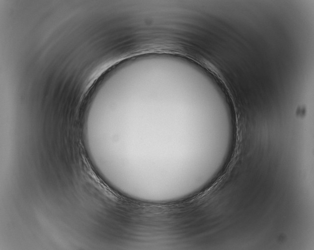 X0000115271019200911201724