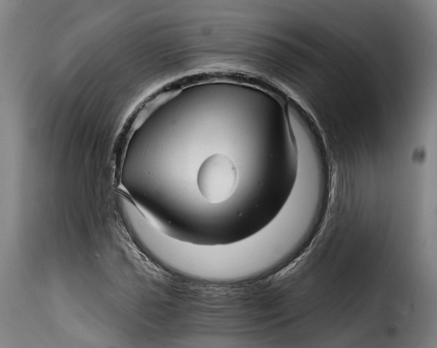 X0000115271021200911201724
