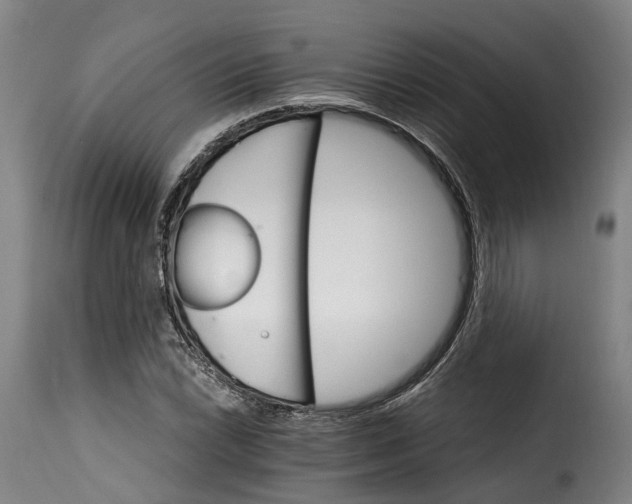 X0000115271022200911201724