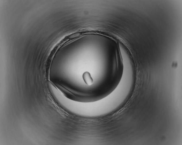 X0000115271023200911201724