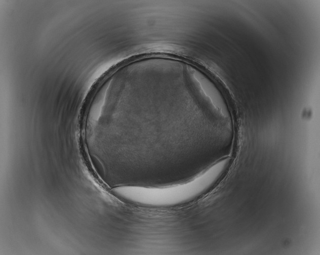 X0000115271024200911201724