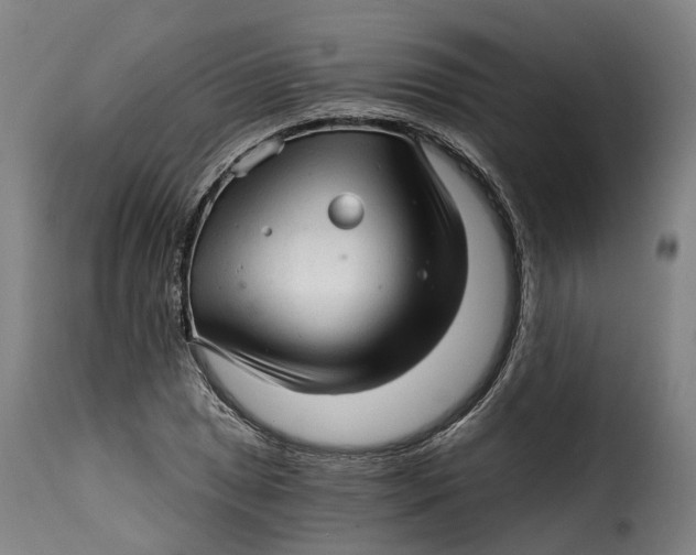 X0000115271025200911201724