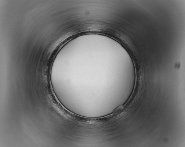 X0000115271026200911201724