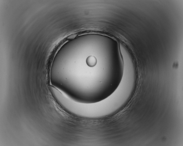 X0000115271027200911201724