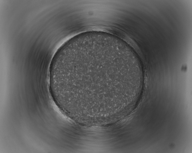X0000115271028200911201724