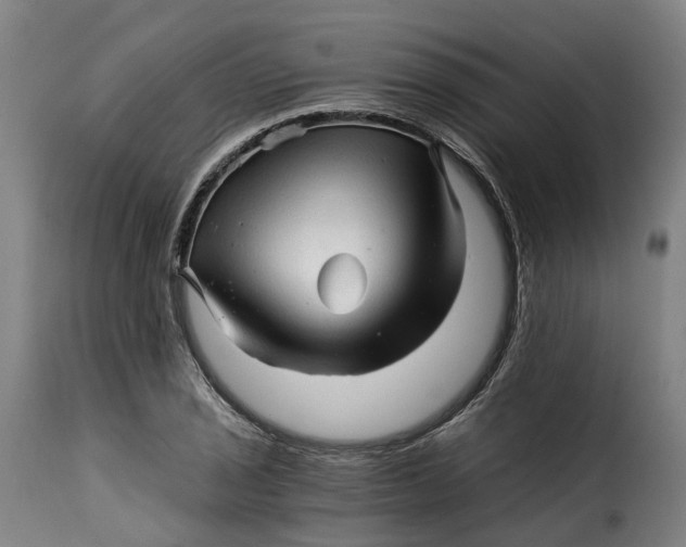 X0000115271029200911201724
