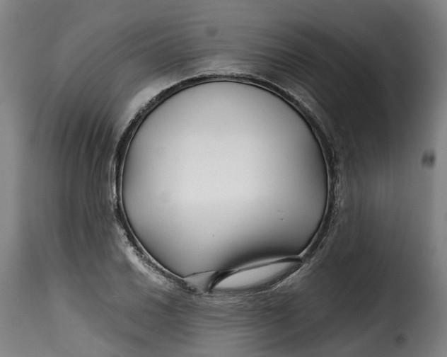 X0000115271030200911201724