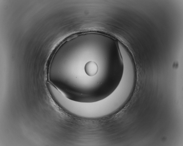 X0000115271031200911201724