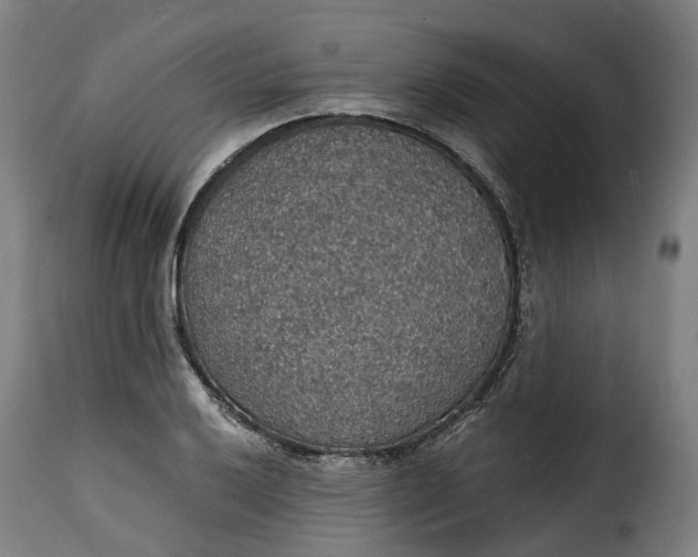 X0000115271032200911201724