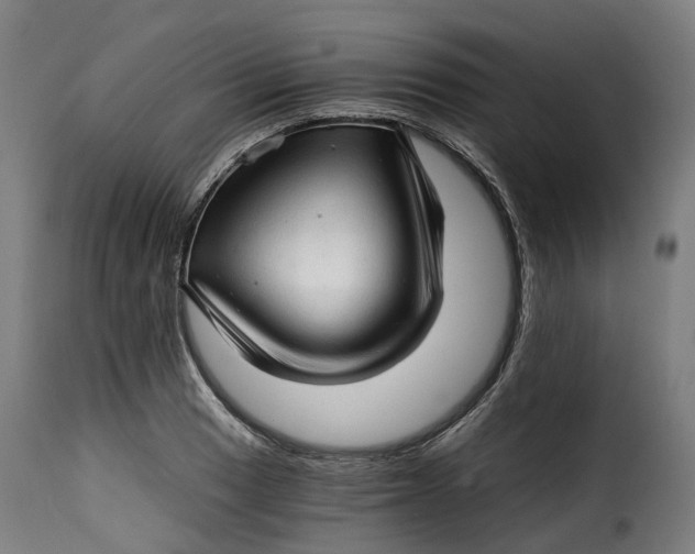 X0000115271033200911201724